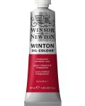 Winsor & Newton Winton - Permanent Crimson Lake, 37 ml - 1t