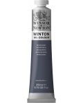 Vopsea de ulei Winsor & Newton Winton - Grey Payne, 200 ml - 1t