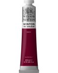 Winsor & Newton Winton Vopsea de ulei Winton - Magenta, 200 ml - 1t