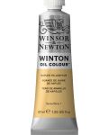 Winsor & Newton Winton - Naples Yellow Hue, 37 ml - 1t