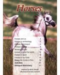 Macmillan Children's Readers: Horses (ниво level 6) - 3t