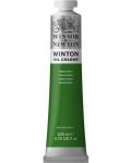 Vopsea ulei Winsor & Newton Winton - Teren verde, 200 ml - 1t