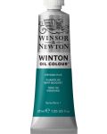 Winsor & Newton Winton - Viridian Hue, 37 ml - 1t