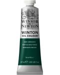 Winsor & Newton Winton Vopsea de ulei Winton - Dark Oxide, 37 ml - 1t