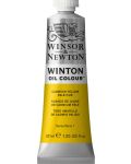 Winsor & Newton Winton - Cadmium Lemon Pale Hue, 37 ml - 1t