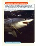 Macmillan Children's Readers: Sharks&Dolphins (ниво level 6) - 8t