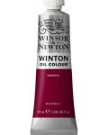 Winsor & Newton Winton Vopsea de ulei Winton - Magenta, 37 ml - 1t