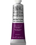 Winsor & Newton Winton - Culoare violet cobalt, 37 ml  - 1t