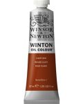 Vopsea de ulei Winsor & Newton Winton - Red Light, 37 ml - 1t