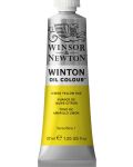 Winsor & Newton Winton - Lemon Yellow Hue, 37 ml - 1t
