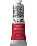 Winsor & Newton Winton Winton Vopsea de ulei - Roșu cadmiu închis, 37 ml - 1t