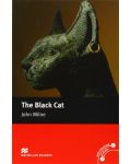 Macmillan Readers: Black cat (Elementary) - 1t