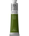 Winsor & Newton Winton Vopsea de ulei - Sap Grun, 200 ml - 1t