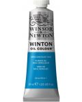 Winsor & Newton Winton Vopsea de ulei - Ceruleum, 37 ml - 1t