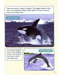 Macmillan Children's Readers: Sharks&Dolphins (ниво level 6) - 7t