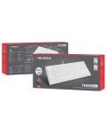 Tastatură mecanică Genesis - Thor 404 TKL, Kailh box maro, RGB, alb - 9t