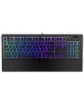 Endorfy Tastatură mecanică - Omnis Pudding, maro, RGB, negru - 1t
