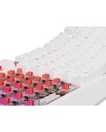Tastatură mecanică Genesis - Thor 230 TKL, Outemu Red, RGB, alb - 3t