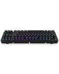 Endorfy Tastatură mecanică - Thock TKL, fără fir, roșu, RGB, negru - 5t