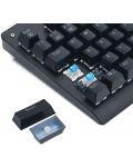Tastatura mecanica Redragon - Dark Avenger K568RGB-BK, Blue, neagra - 5t