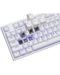 Tastatură mecanică Genesis - Thor 404 TKL, Kailh box maro, RGB, alb - 8t