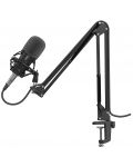 Microfon Genesis - Radium 300 XLR, negru - 1t
