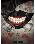 Mini poster GB eye Animation: Tokyo Ghoul - Mask - 1t