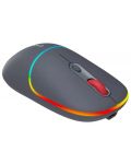 Mouse Canyon - MW-22, optic, wireless, Dark grey - 5t