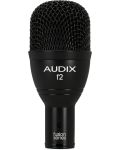 Microfon AUDIX - F2, negru - 1t