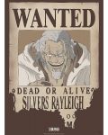 GB eye Animation Mini Poster: One Piece - Rayleigh Wanted Poster - 1t