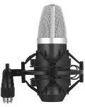 Microfon Stagg - SUM40, negru	 - 2t