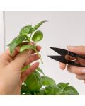 Mini foarfece de grădină Veritable - 10.4 cm, negru - 2t