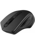 Mouse Canyon - CNE-CMSW15B, optic, wireless, negru - 3t