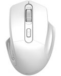 Mouse Canyon - CNE-CMSW15PW, optic, wireless, alb - 1t