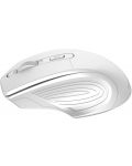 Mouse Canyon - CNE-CMSW15PW, optic, wireless, alb - 4t