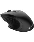 Mouse Canyon - CNE-CMSW15B, optic, wireless, negru - 2t