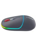 Mouse Canyon - MW-22, optic, wireless, Dark grey - 4t