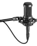 Microfon Audio-Technica - AT2050, negru - 3t