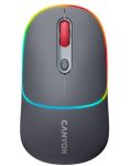 Mouse Canyon - MW-22, optic, wireless, Dark grey - 1t