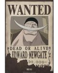 Mini poster  GB eye Animation: One Piece - Wanted Whitebeard	 - 1t