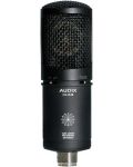 Microfon AUDIX - CX212B, negru - 1t