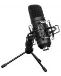 Microfon Cascha - HH 5050 Studio XLR, negru - 1t