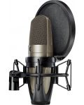 Microfon Shure - KSM42/SG, argintiu	 - 5t