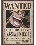 Mini poster GB eye Animation: One Piece - Blackbeard Wanted Poster - 1t