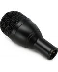 Microfon AUDIX - F2, negru - 5t