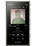 Mp3 player Sony - Walkman NW-A105, 16GB, verde - 1t