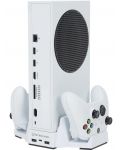Stand multifunctional SteelDigi - Jade Mohawk (Xbox Series S) - 4t