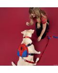 Harnașament pentru câini Loungefly Marvel: Spider-Man - Spider-Man (rucsac), mărimea M  - 8t