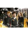 Puzzle neon Educa din 1000 de piese - Harry Potter - 2t