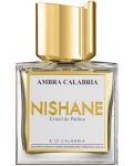 Nishane Miniature Art Extract de parfum Ambra Calabria, 50 ml - 1t